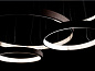 2230 Il Paralume Marina подвесной светильник с круглыми кольцевыми LED-модулями — фото 2