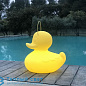 DUCK DUCK внешнее световое оформление Goodnight Light GNL010