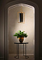Потолочный светильник Giacometti Porta Romana MCL76L — фото 1