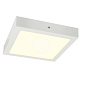 1004705 SLV SENSER 24 CW square white 4000K потолочный накладной светильник — фото 1