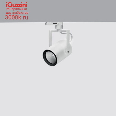 N290 Front Light iGuzzini Warm White - Wide Flood Optic