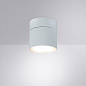 A5549PL-1WH Arte Lamp Intercrus светильник на штанге 15W — фото 1