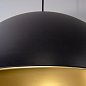 Подвесной светильник Arte Lamp CARMEL A7105SP-1BK — фото 2