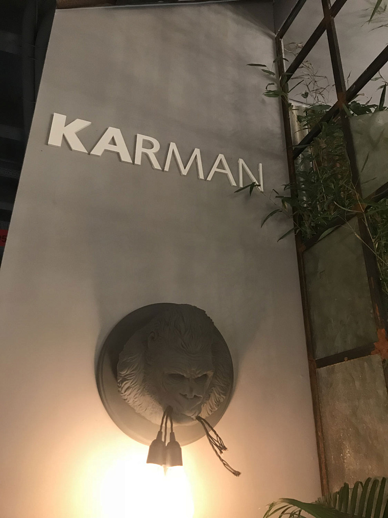 Karman: рыбки, совы, олени и другая дичь — фото 16