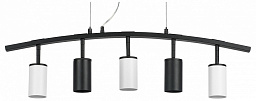 LR735372363 Lightstar Rullo подвесной светильник с круглыми плафонами черного цвета