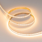 040251 Arlight Лента ULTRA-C180-10mm 24V Warm2700 (19.2 W/m, IP20, 5630, 5m) — фото 3