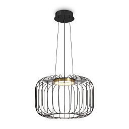 FR5398PL-L8B Freya Citrus подвесной светильник с округлым проволочным плафоном черного цвета