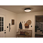 Bretta 17.75" 3 Light Flush Mount Black потолочный светильник 52545BK Kichler — фото 4
