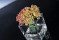 ETERNITY SEDUM CUBE Цветочная композиция со стеклянной вазой VGnewtrend
