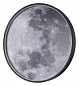 10226/SG LED Moon Escada Planet накладной светильник, 43Вт, 3000, 4200, 6500K, 3136лм, серый — фото 1
