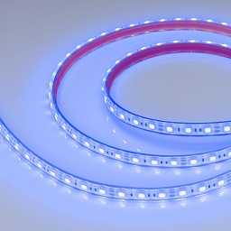036280 Arlight Лента герметичная RTW-PFS-B60-13mm 12V Blue (14.4 W/m, IP68, 5060, 5m)