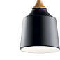 Danika 1 Light Mini Pendant Black подвесной светильник 43682BK Kichler — фото 1