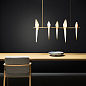 8718282298030 Perch Light Moooi подвесной светильник — фото 2