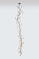 Подвесной светильник SERIP Lotus Vertical Bloom — фото 2