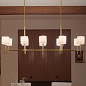 Ali 56.5" 10 Light Linear Chandelier Brushed Natural Brass люстра 52503BNB Kichler — фото 2