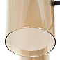 A7027PL-6BK Arte Lamp Leo потолочная люстра E14 6х40W — фото 3