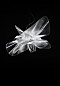 Подвесной светильник Etoile SLAMP — фото 4
