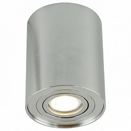 A5644PL-1SI Arte Lamp накладной потолочный точечный светильник золото