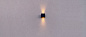Уличный настенно-потолочный светильник Cadmo 6 Flexalighting — фото 1