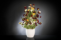 TULIPIER BABILON RANUNCOLO BIG среднее цветочное украшение, VGnewtrend