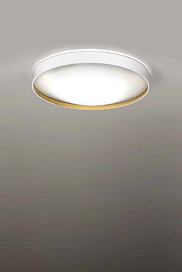 Потолочный светильник Milan Iluminacion Alina 50, белый