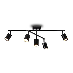 Люстра Animo Freya FR5507CL-05B