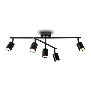 Люстра Animo Freya FR5507CL-05B