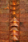 14-1801 Quasar Lum PANEL COPPER WITH LIGHTUNIT Накладное бра медный — фото 2