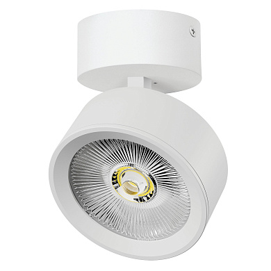 Накладной светильник Alta Pro A5636SO Lightstar