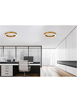 Dimmable by Remote Control & APP Brass Gold Aluminium Acrylic LED 48 Watt 220-240Volt 3730Lm IP20 2700-4000K CCT by Remote Control D: 60 H: 8 cm