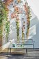 Настольная лампа Mini Geen-A аккумуляторная Kartell — фото 6