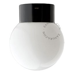 Настенно-потолочный светильник Zangra Pure Porcelain 016 IP54