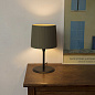 64311-40 SAMBA BLACK TABLE LAMP GREEN RIBBONED LAMPSHADE ø2 настольная лампа Faro barcelona