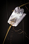 Подвесной светильник Tulip SLAMP — фото 7