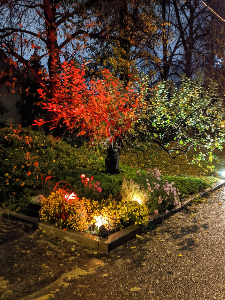 Участие в проекте освещения Ботанического сада г. Москвы "Осветим вместе" — фото 10