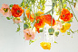 FLOWER POWER NEW POPPY ROUND Светодиодный потолочный светильник из муранского стекла VGnewtrend — фото 1