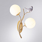 A9712AP-2SG Arte Lamp Camomilla бра E14 2х40W — фото 1