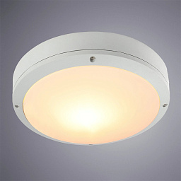 A8154PF-2WH Arte Lamp CITY уличный потолочный светильник