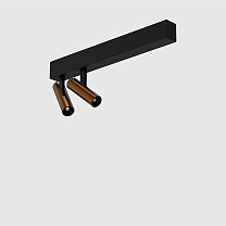 holon 20 directional, surface mounted, double, brushed bronze