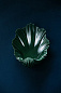 Настенный светильник Scallop Ceramic Small Porta Romana TWL169S — фото 9