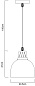 A4245SP-1BK Arte Lamp Eurica подвесной светильник E27 1х60W 800Lm — фото 2