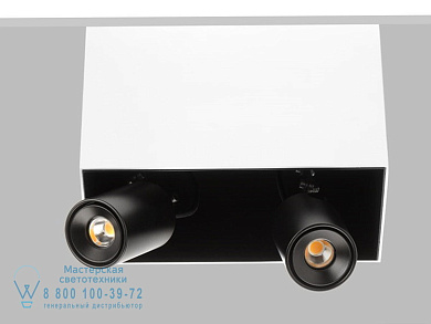 SWAN X120 Потолочный светильник Flexalighting