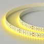 008774 Arlight Лента RT 2-5000 24V Yellow 2x2 (3528, 1200 LED, LUX) — фото 3
