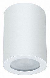 A1468PL-1WH Arte Lamp Tino накладной потолочный цилиндрический светильник