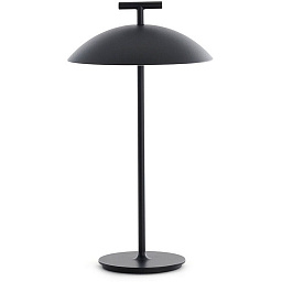 0972009 Kartell Geen A настольный светильник дизайнерский