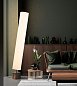 Торшер CVL-Luminaires Clopes 20-100 — фото 3