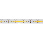 1004720 SLV GRAZIA PRO M STRIP 24V 5m 12500lm 3000K светодиодная лента — фото 1