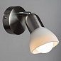 Спот Arte Lamp FALENA A3115AP-1SS — фото 1