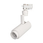 Трековый светильник Arlight LGD-ZEUS-2TR-R67-10W — фото 1