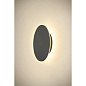 1007913 SLV D-RING WL M PHASE 2700/3000K black настенный светильник — фото 5